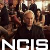 NCIS: Malattia misteriosa si diffonde sul set, decine di persone ammalate